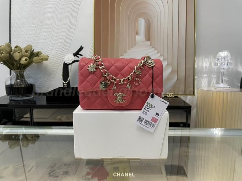 Chanel Handbags 391